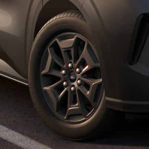 Platišče iz lahke zlitine 17" s 6 kraki, mat